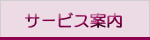 �T�[�r�X�ē�